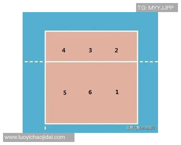 赛后分析：西安排球队与武汉排球队实力对比与战术探讨